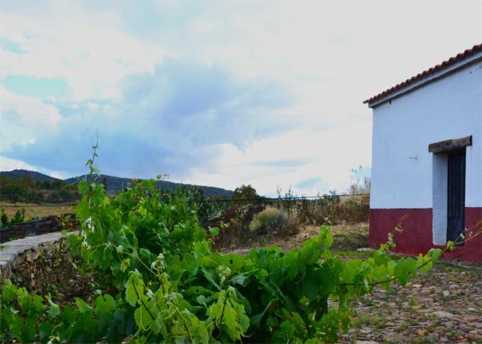 Casa Rural El Abuelo Alonso La Codosera Zewnętrze zdjęcie
